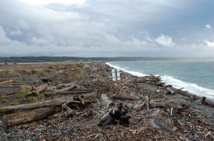 whidbey island beach