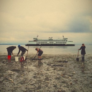 whidbey island ferry tips