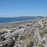 whidbey island real estate