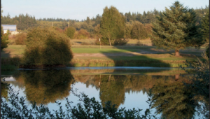 Whidbey Island Golf Courses