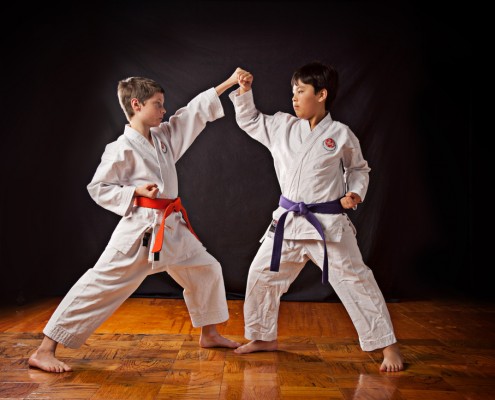karate classes whidbey island