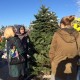 Whidbey Island Christmas Trees